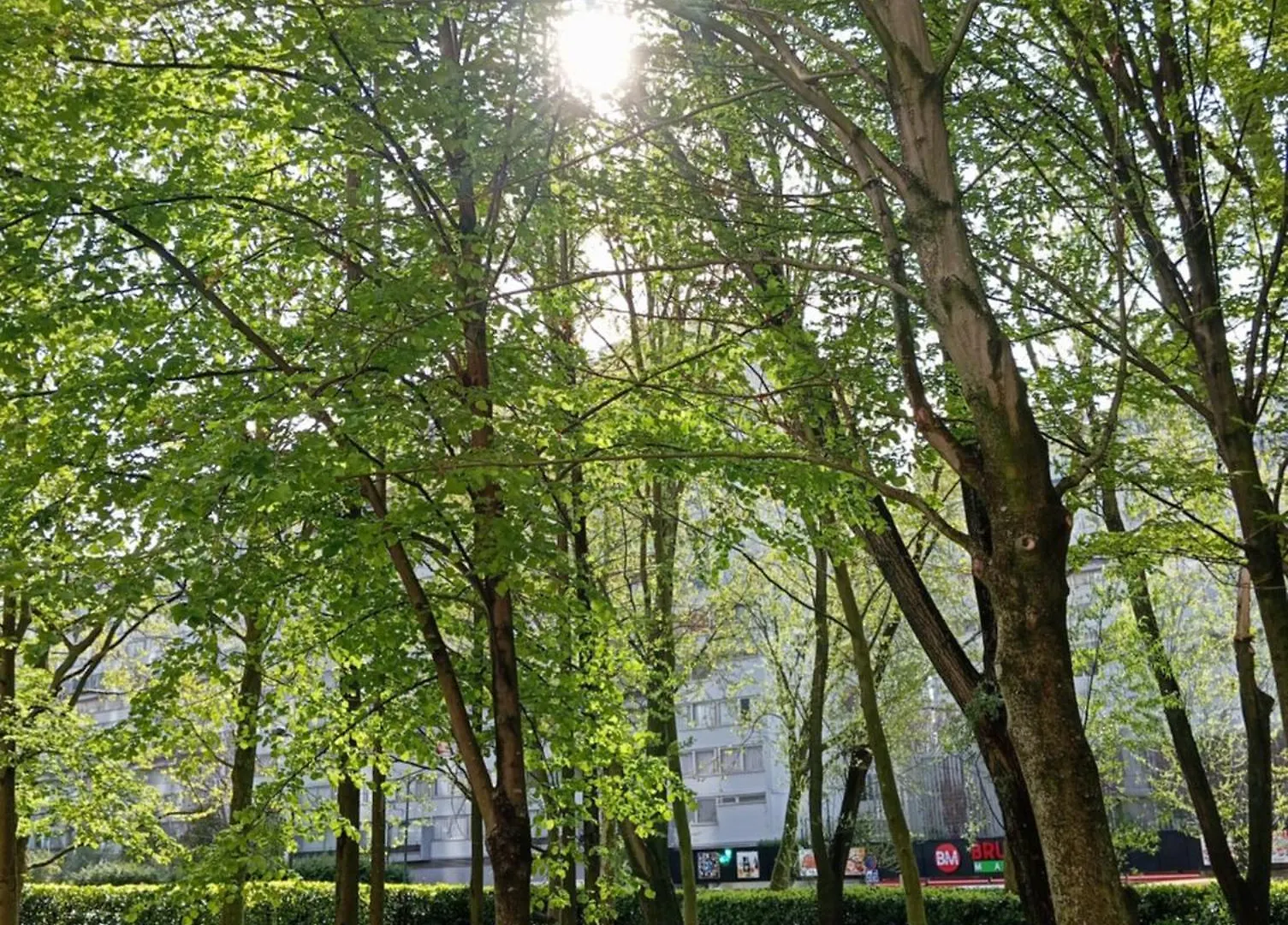 A&O Brussel Centrum